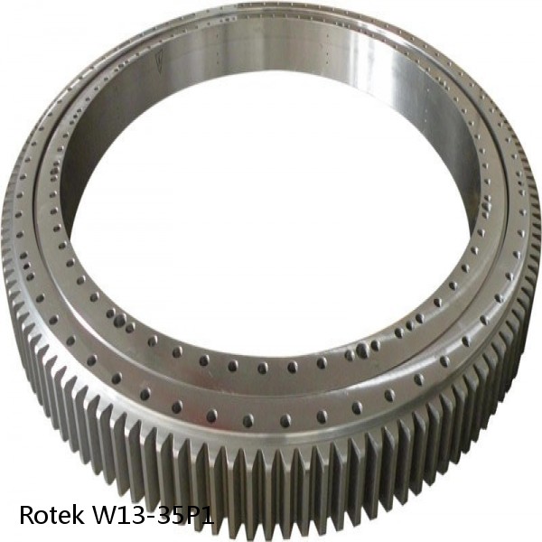 W13-35P1 Rotek Slewing Ring Bearings
