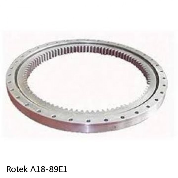 A18-89E1 Rotek Slewing Ring Bearings