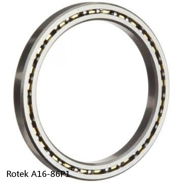 A16-86P1 Rotek Slewing Ring Bearings