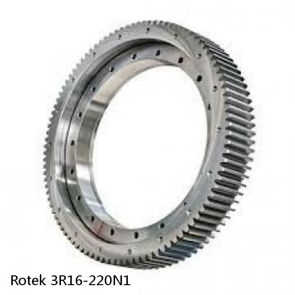 3R16-220N1 Rotek Slewing Ring Bearings
