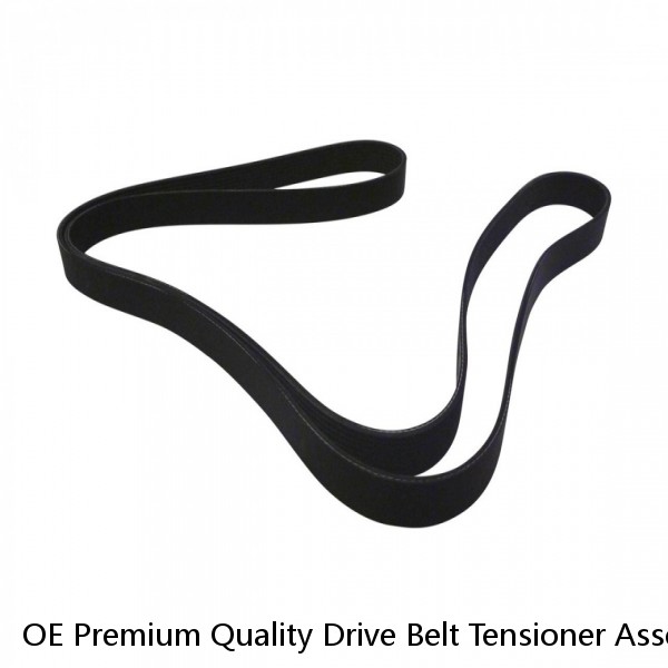 OE Premium Quality Drive Belt Tensioner Assembly for 2007-2018 Fit Nissan 39162