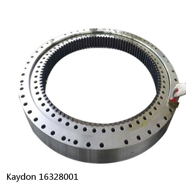 16328001 Kaydon Slewing Ring Bearings