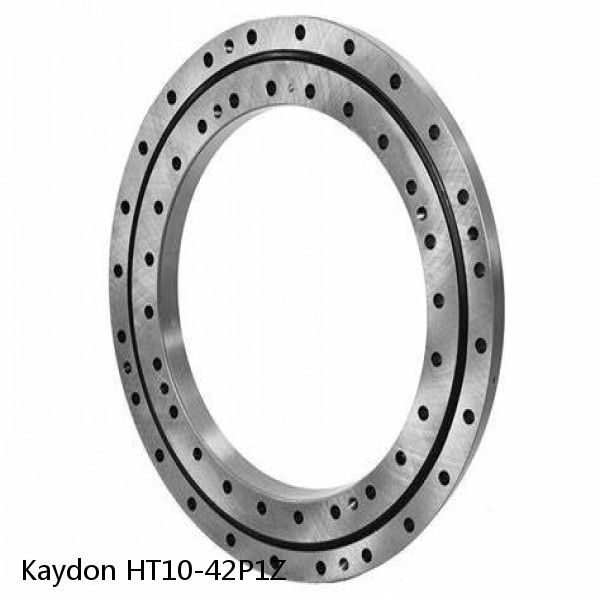 HT10-42P1Z Kaydon Slewing Ring Bearings