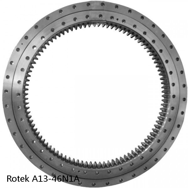A13-46N1A Rotek Slewing Ring Bearings