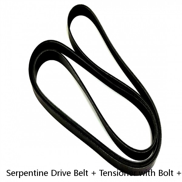 Serpentine Drive Belt + Tensioner with Bolt + Idler Pulley Kit for select BMW